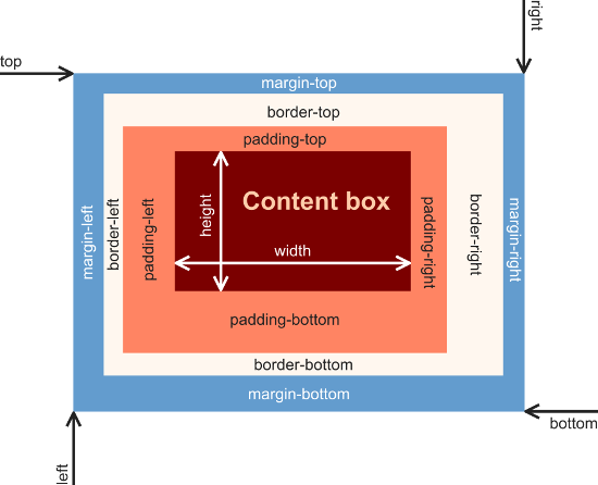 Das W3C Box-Modell